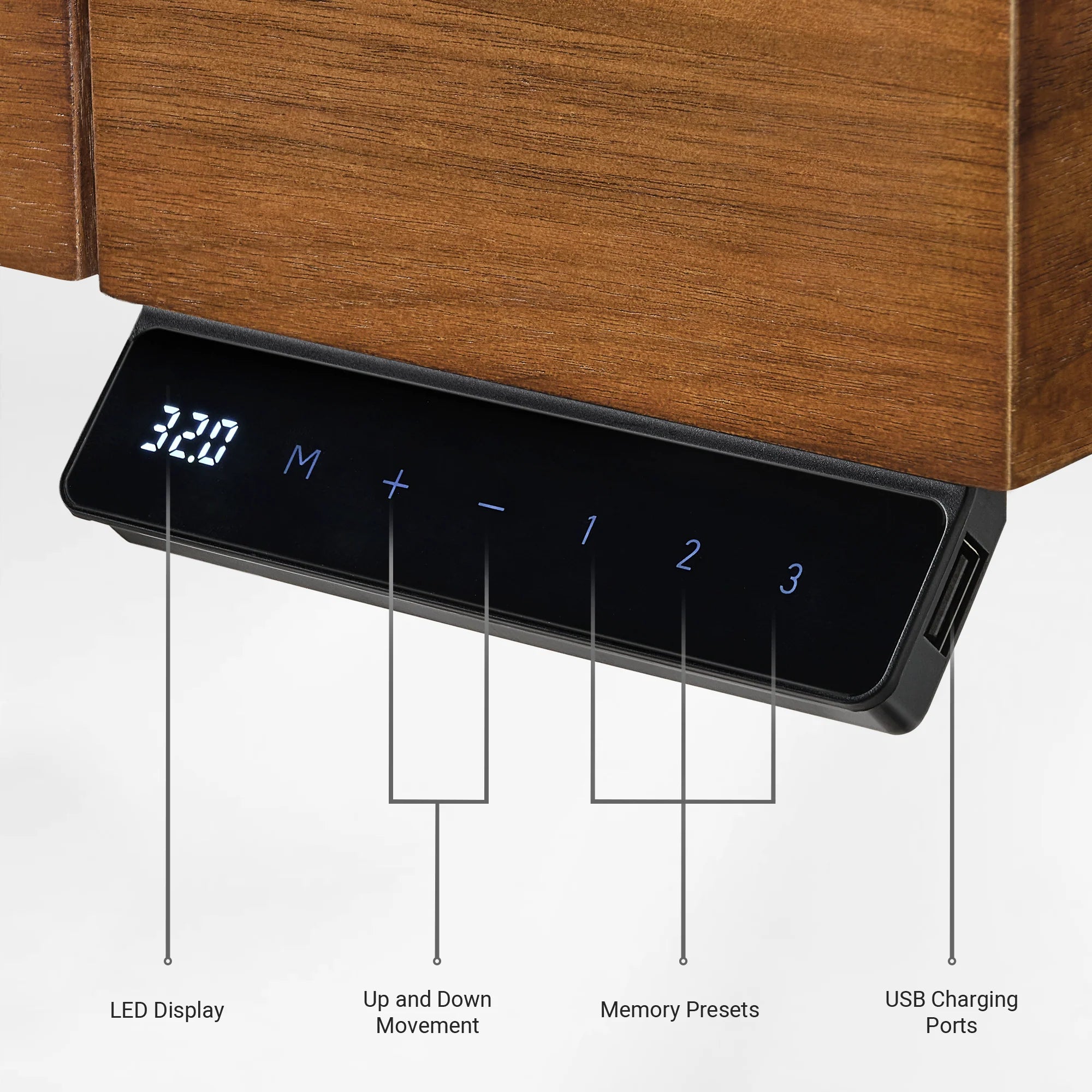 Ark Executive Standing Desk (63"X29")